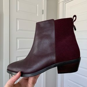 Coach Carmen Oxblood Booties (Leather, Suede) NWOT
